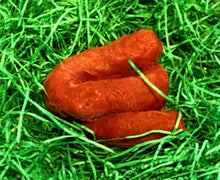 Load image into Gallery viewer, Poop Soap - Mens Soap Novelty Gag Soap - FREE SHIPPING - man mens him pet lover dog funny gag gift prank men bath fathers day dad