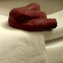 Load image into Gallery viewer, Poop Soap - Mens Soap Novelty Gag Soap - FREE SHIPPING - man mens him pet lover dog funny gag gift prank men bath fathers day dad
