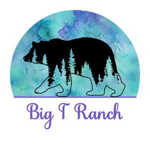 Big T Ranch Colorado
