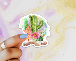Cactus Sticker, Laptop Sticker, Water Bottle Sticker, Watercolor Cactus Sticker, Southwest, Tumbler Sticker, Cacti Floral Sticker