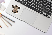 Load image into Gallery viewer, Licking Cow Sticker, Laptop Sticker, Water Bottle Sticker, Cow Sticker, Cows, Tumbler Sticker, Brown Cow Sticker, 4-H