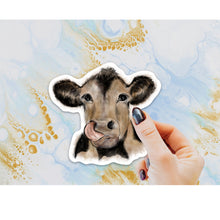 Load image into Gallery viewer, Licking Cow Sticker, Laptop Sticker, Water Bottle Sticker, Cow Sticker, Cows, Tumbler Sticker, Brown Cow Sticker, 4-H