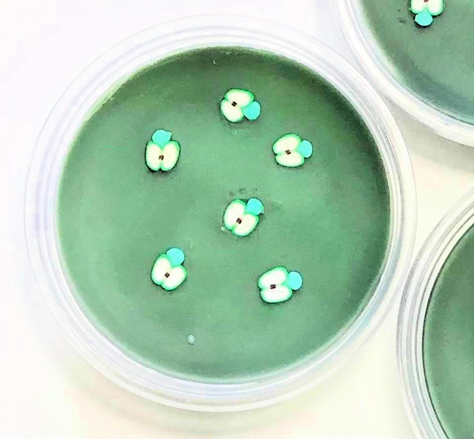 Green Apple Soy Wax Melts, Wax Melts, Wax Pots, Wax Tarts, Highly Scented Wax Melts, Soy Candles, Fruity Wax Melts, Fruit Wax Tart, Summer