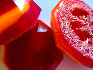 Loofah Soap - Pomegranate Mango Papaya - FREE U.S. SHIPPING - Spa Soap Gift - Friend Gift Exfoliator - Spa - Bath - Exfoliation