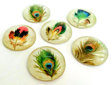Load image into Gallery viewer, Feather Magnets - Peacock Feather Magnet - Peacock Favor -Free U.S. Shipping -  Peacock Wedding - Set of 6 - 1 Inch Domed Glass Circles