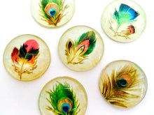 Load image into Gallery viewer, Feather Magnets - Peacock Feather Magnet - Peacock Favor -Free U.S. Shipping -  Peacock Wedding - Set of 6 - 1 Inch Domed Glass Circles