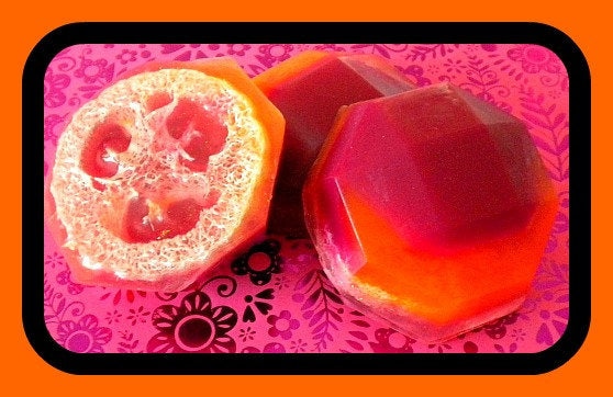 Soap - Loofah Soap - Sex on the Beach Scented - Exfoliator Gift for Mom - FREE U.S. SHIPPING