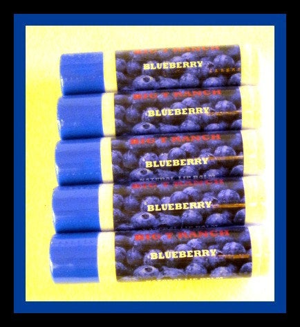 Blueberry Lip Balm - Lip Gloss - All Natural - Lightly Tinted - Free U.S. Shipping