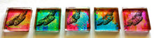 Load image into Gallery viewer, Glass Magnets - Butterflies - Set of 5 - 1 Inch Glass Squares - Free U.S. Shipping - Gift for Woman, Mom, Sister Gift