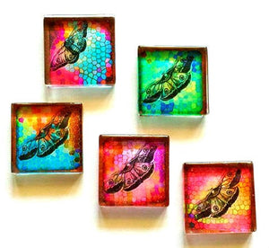 Glass Magnets - Butterflies - Set of 5 - 1 Inch Glass Squares - Free U.S. Shipping - Gift for Woman, Mom, Sister Gift