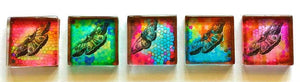 Glass Magnets - Butterflies - Set of 5 - 1 Inch Glass Squares - Free U.S. Shipping - Gift for Woman, Mom, Sister Gift