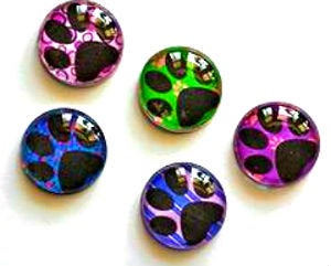 Magnets - Paw Prints - Dog Cat Lover - Vet Gift - Set of 5 - Free U.S. Shipping - 1 Inch Domed Glass Circles