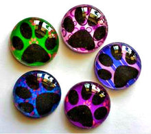 Load image into Gallery viewer, Magnets - Paw Prints - Dog Cat Lover - Vet Gift - Set of 5 - Free U.S. Shipping - 1 Inch Domed Glass Circles
