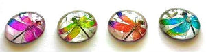 Magnets - Dragonflies - Dragonfly - Set of 4 - 1 Inch Domed Glass Circles - Free U.S. Shipping