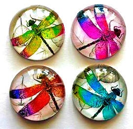 Magnets - Dragonflies - Dragonfly - Set of 4 - 1 Inch Domed Glass Circles - Free U.S. Shipping