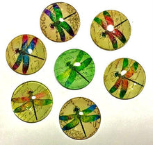 Load image into Gallery viewer, Dragonfly Magnets - Dragonflies - Set of 7 -Free U.S. Shipping -   1 Inch Domed Glass Circles - Gardener Gift, Grandma, Mom, Niece