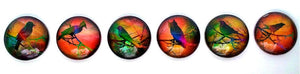Magnets - Bright Birds - Spring - Necklace Cabochon Supplies - Free U.S. Shipping - Set of 6 - 1 Inch Domed Glass Circles