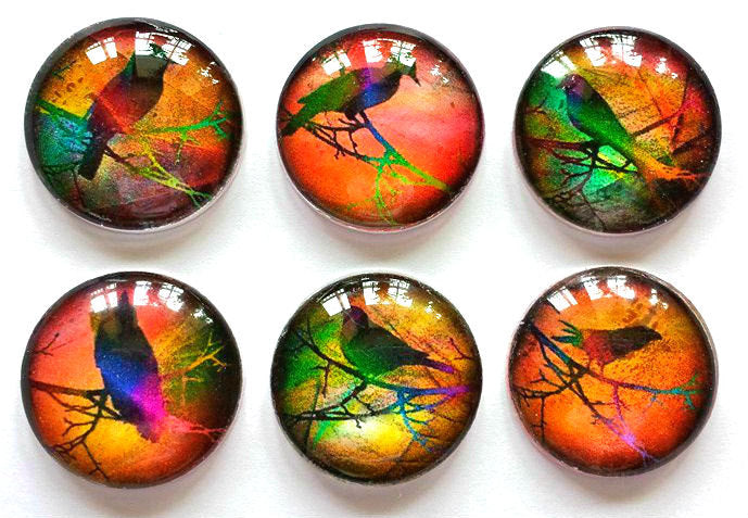 Magnets - Bright Birds - Spring - Necklace Cabochon Supplies - Free U.S. Shipping - Set of 6 - 1 Inch Domed Glass Circles