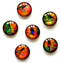 Load image into Gallery viewer, Magnets - Bright Birds - Spring - Necklace Cabochon Supplies - Free U.S. Shipping - Set of 6 - 1 Inch Domed Glass Circles