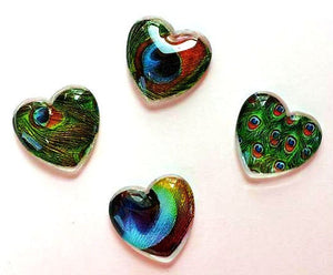 Magnets - Peacock Feathers - Peacock - Set of 4 - Free U.S. Shipping - 1 Inch Domed Glass Hearts