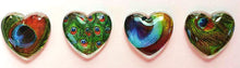 Load image into Gallery viewer, Magnets - Peacock Feathers - Peacock - Set of 4 - Free U.S. Shipping - 1 Inch Domed Glass Hearts