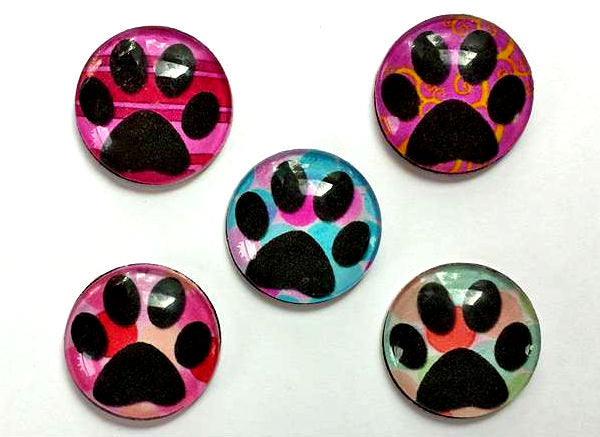 Magnets - Paw Prints - Free U.S. Shipping - Dog Cat Paws - Gift for Pet Owner, Vet, Cat Owner - Set of 5 - 1 Inch Domed Glass Circles