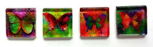Load image into Gallery viewer, Mother&#39;s Day - Magnets - Butterflies - Butterfly - Set of 4 - Gift for Mom, Sister, Grandma - Free U.S. Shipping