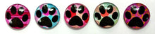 Load image into Gallery viewer, Magnets - Paw Prints - Free U.S. Shipping - Dog Cat Paws - Gift for Pet Owner, Vet, Cat Owner - Set of 5 - 1 Inch Domed Glass Circles