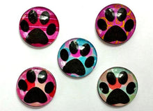 Load image into Gallery viewer, Magnets - Paw Prints - Free U.S. Shipping - Dog Cat Paws - Gift for Pet Owner, Vet, Cat Owner - Set of 5 - 1 Inch Domed Glass Circles