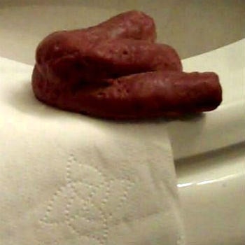 Dog Poop Soap